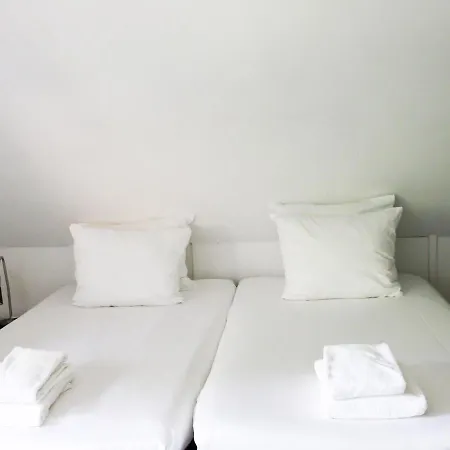 Charming Holiday In With Swimming Pool Hulshorst